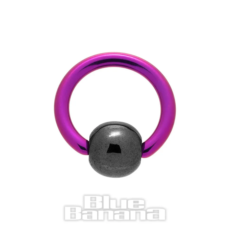 Blue Banana Coloured Titanium 1.2mm BCR (Purple/Black)