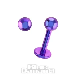 Blue Banana Coloured Titanium 1.2mm Labret (Purple)