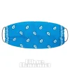 Blue Banana Paisley Bandana (Turquoise)