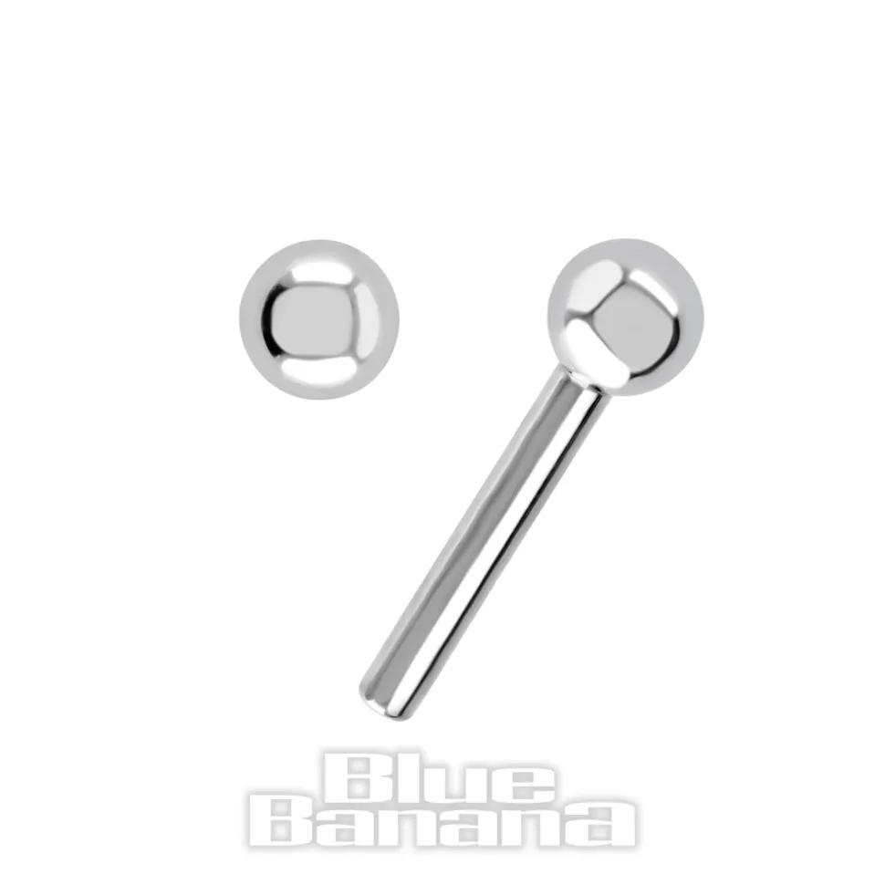 Blue Banana Polished Titanium Threadless Barbell (Silver)