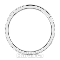 Blue Banana Polished Titanium Eternity Hinged Segment Ring (Silver)