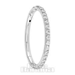 Blue Banana Polished Titanium Eternity Hinged Segment Ring (Silver)