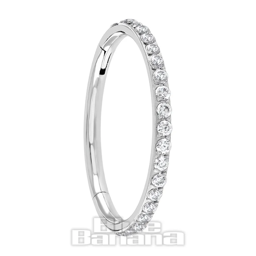 Blue Banana Polished Titanium Eternity Hinged Segment Ring (Silver)