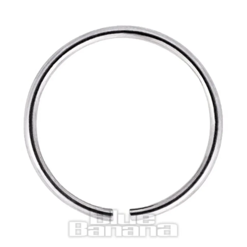 Blue Banana Silver 1.0g Seamless Nose Ring (Silver)