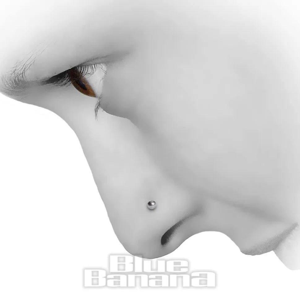 Blue Banana Silver 1.5mm Ball Nose Studs (Pack of 6)