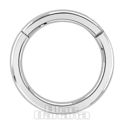 Blue Banana Surgical Steel 1.6mm Hinged Segment Ring (Silver)