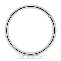 Blue Banana Surgical Steel 1.0mm Hinged Segment Ring (Silver)