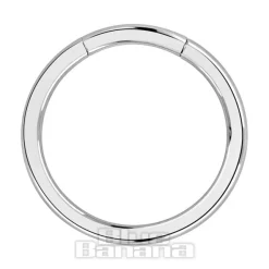 Blue Banana Surgical Steel Segment Ring (Silver)