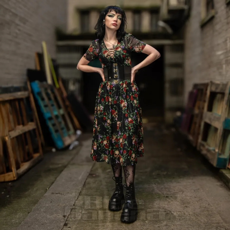 Jawbreaker Skull & Roses Mesh Midi Dress (Multicolour)