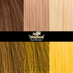 La Riche Directions Colour Hair Dye 4 Pack 88ml (Sunflower)