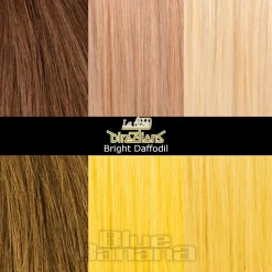 La Riche Directions Colour Hair Dye 4 Pack 88ml (Bright Daffodil)