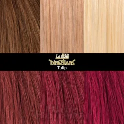 La Riche Directions Colour Hair Dye 88ml (Tulip)