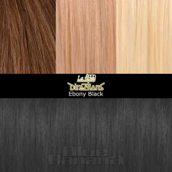 La Riche Directions Colour Hair Dye 100ml (Ebony Black)