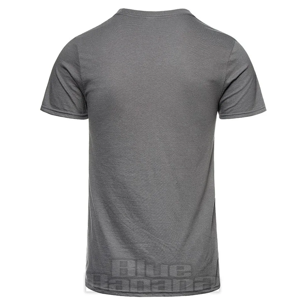 Official Foo Fighters Matter of Time T Shirt (Grey)